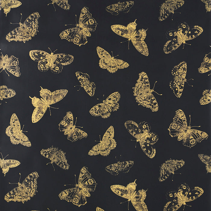 Schumacher Burnell Butterfly Black Wallpaper Sample 5011742