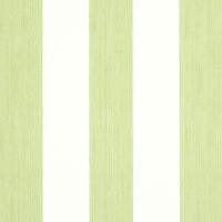 Schumacher Edwin Stripe Wide Leaf Wallpaper 5011909