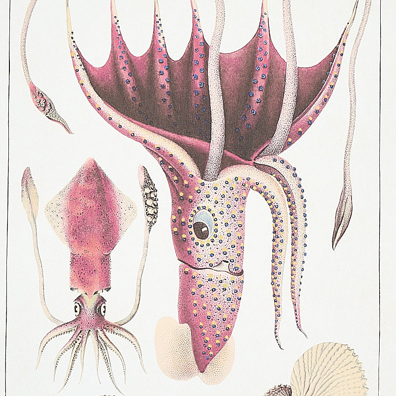 Schumacher Bauhin Document Multi Wallpaper Sample 5012090