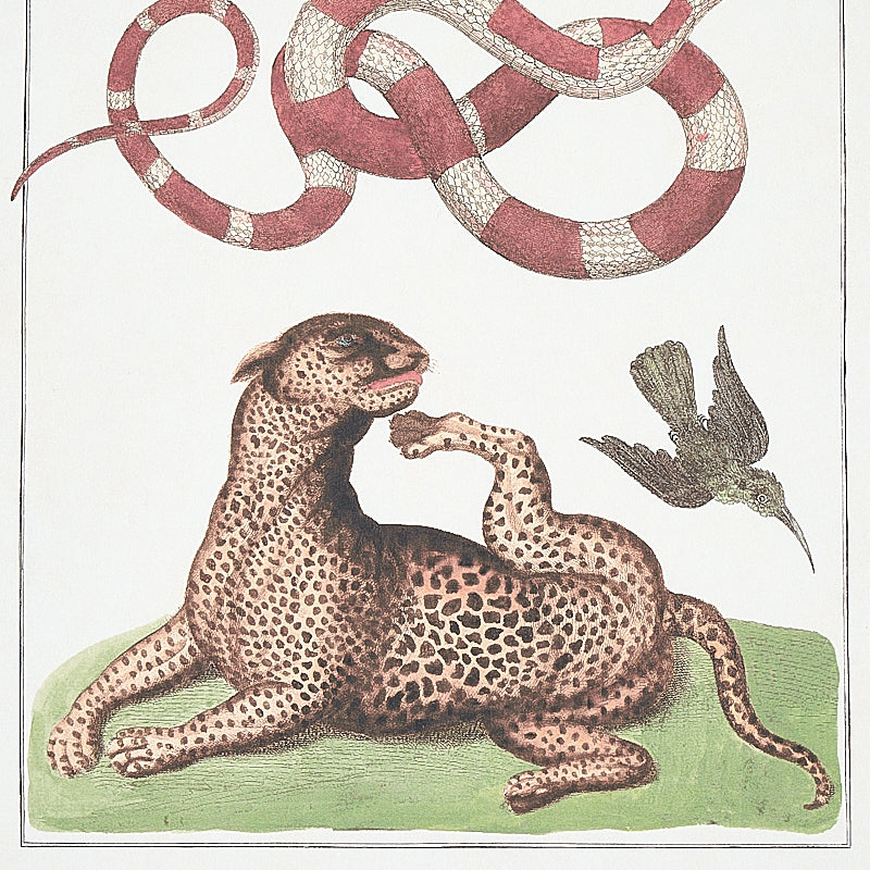 Schumacher Bauhin Document Multi Wallpaper Sample 5012090