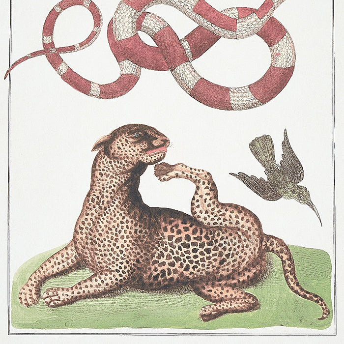 Schumacher Bauhin Document Multi Wallpaper Sample 5012090