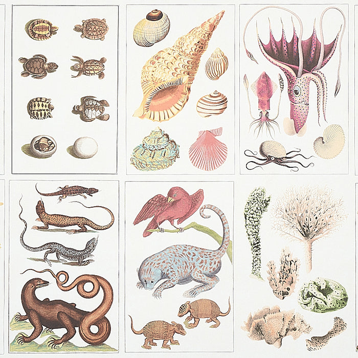 Schumacher Bauhin Document Multi Wallpaper Sample 5012090