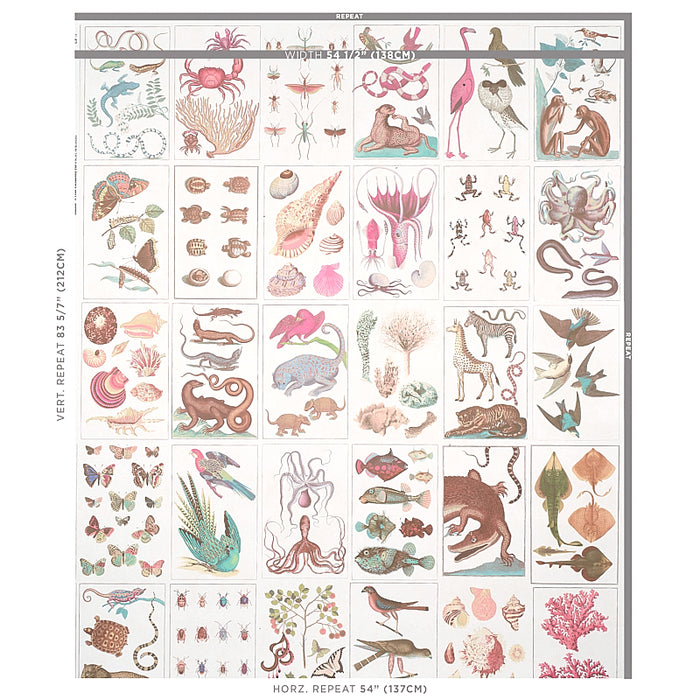 Schumacher Bauhin Soft Multi Wallpaper Sample 5012091