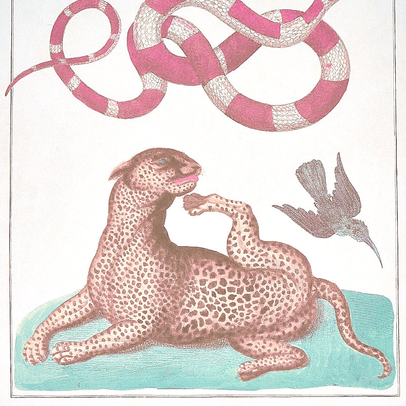 Schumacher Bauhin Soft Multi Wallpaper Sample 5012091