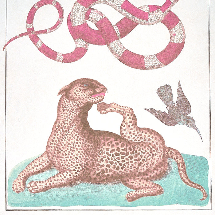 Schumacher Bauhin Soft Multi Wallpaper Sample 5012091