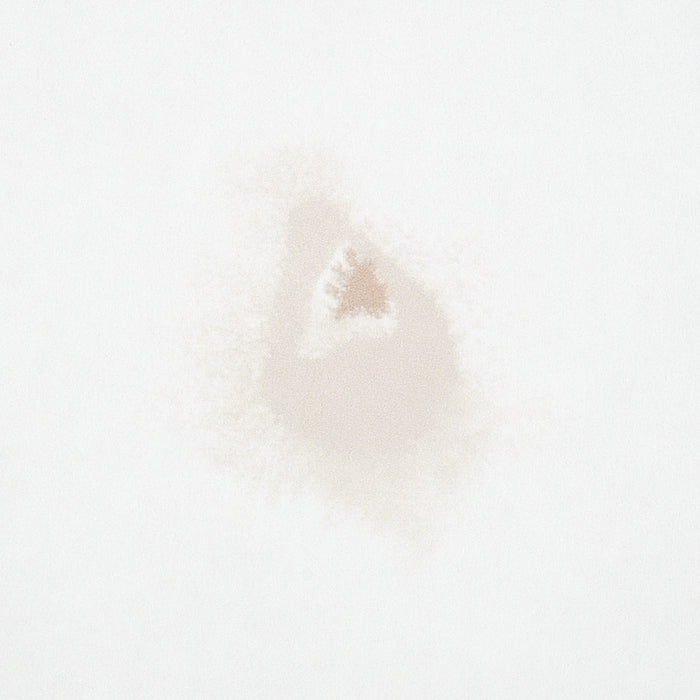 Schumacher Stellar Neutral Wallpaper Sample 5012190