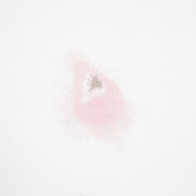 Schumacher Stellar Blush Wallpaper Sample 5012191