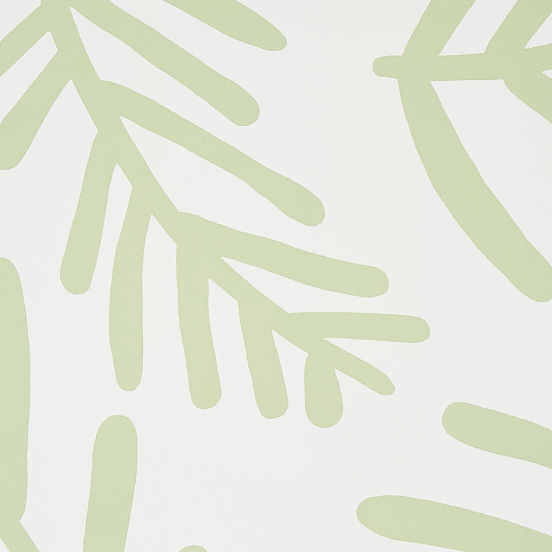 Schumacher Tiah Cove Sage Leaf Wallpaper Sample 5012450