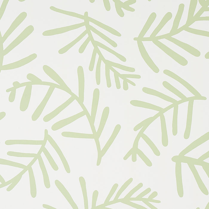 Schumacher Tiah Cove Sage Leaf Wallpaper Sample 5012450