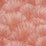 Schumacher Fondale Pink Wallpaper 5012654