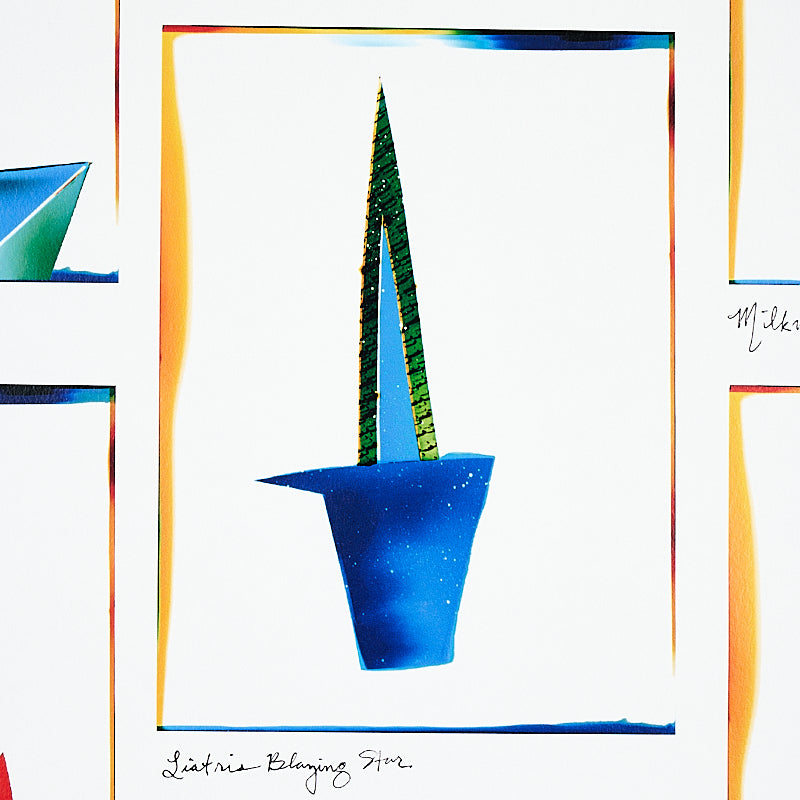 Schumacher Botanicals Spectrum Multi Wallpaper Sample 5012690