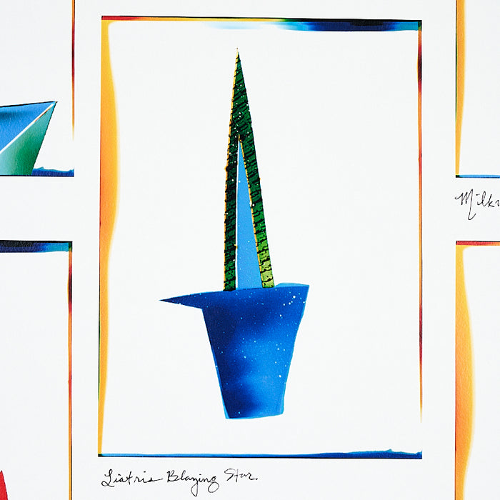 Schumacher Botanicals Spectrum Multi Wallpaper Sample 5012690