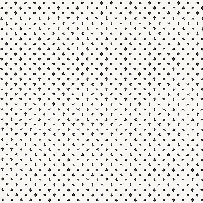Schumacher Astral Black Wallpaper Sample 5013140