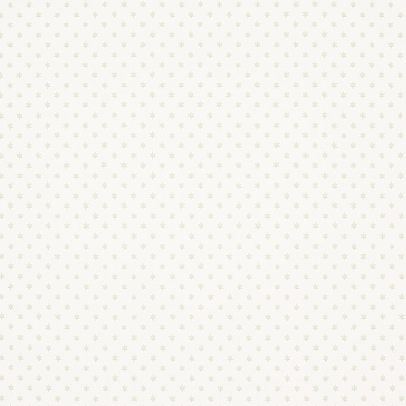 Schumacher Astral Green Wallpaper Sample 5013142