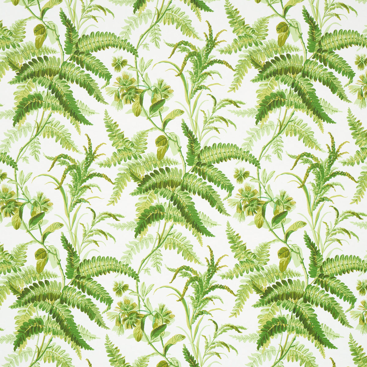 Schumacher Myers Fern Tropical Wallpaper Sample 5013231