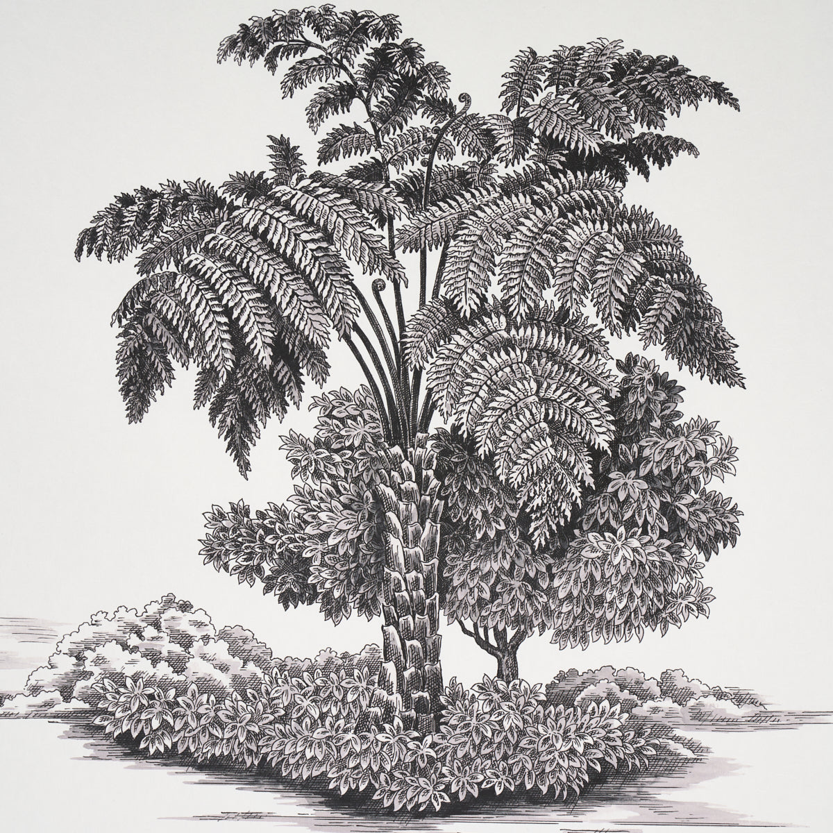 Schumacher Toussaint Toile Black On Ivory Wallpaper Sample 5013770