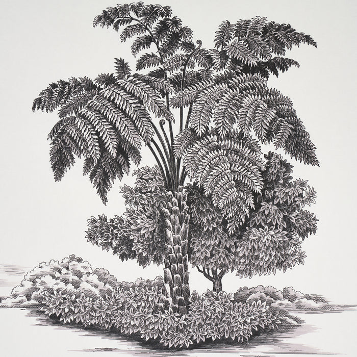 Schumacher Toussaint Toile Black On Ivory Wallpaper Sample 5013770