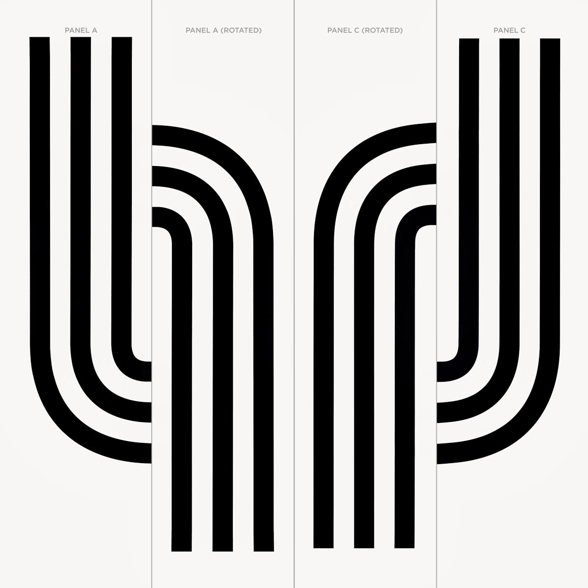 Schumacher Virginia Panel B Black Wallpaper Sample 5013790