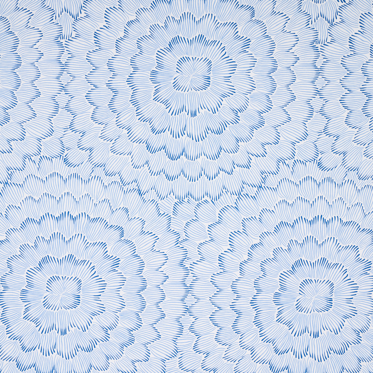 Schumacher Feather Bloom Blue Wallpaper 5013820
