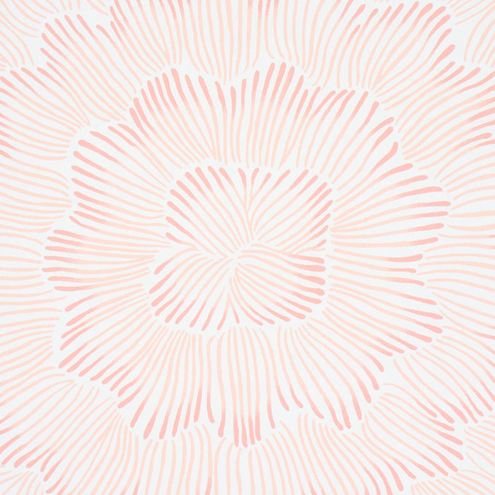Schumacher Feather Bloom Salmon Wallpaper 5013823