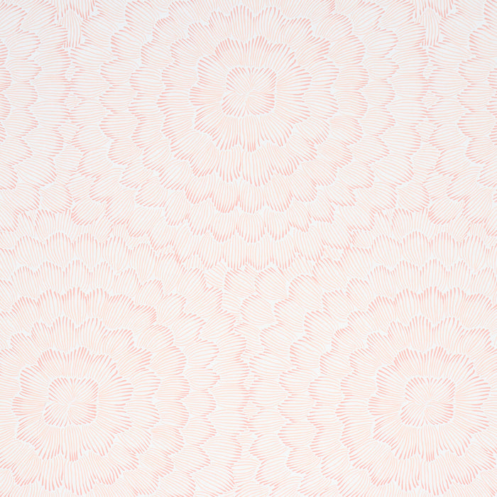 Schumacher Feather Bloom Salmon Wallpaper 5013823