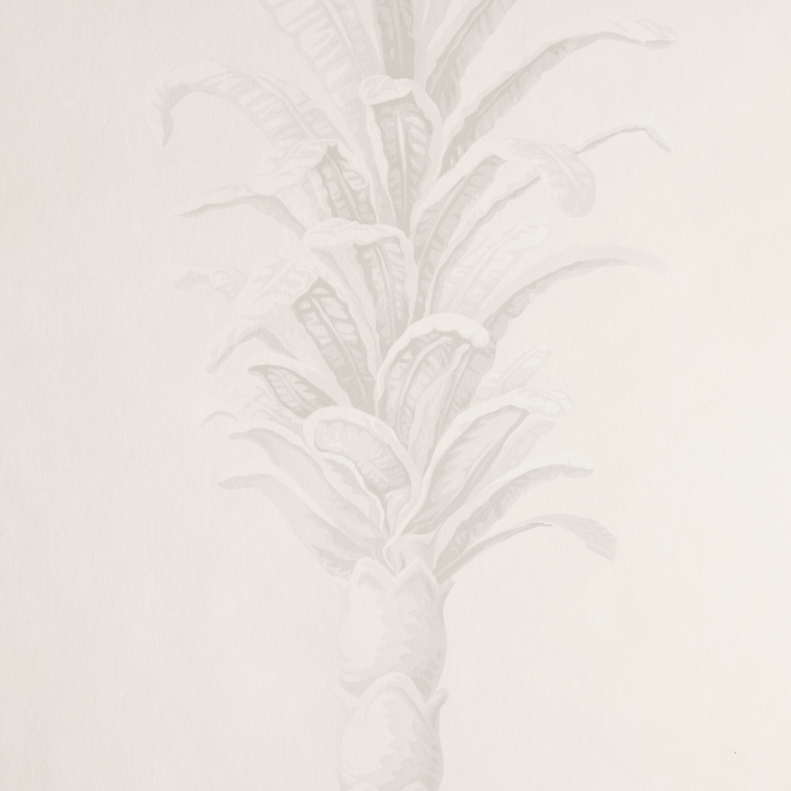 Schumacher Villa Palm Panel White/Ivory Wallpaper Sample 5013881