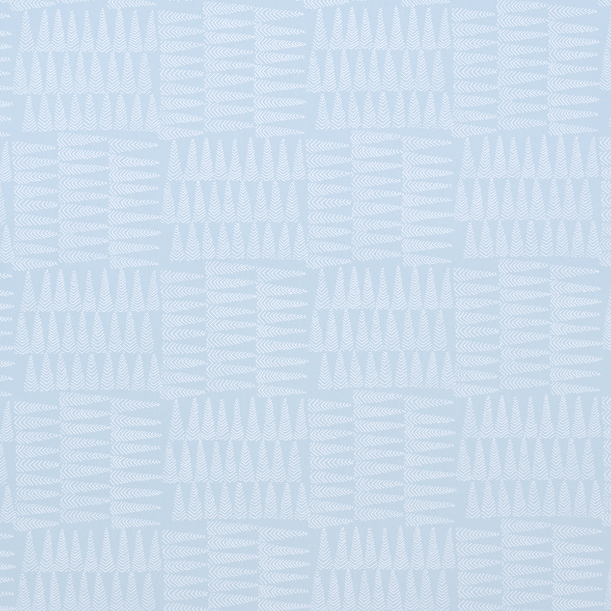 Schumacher Charlie Sky Wallpaper 5013931