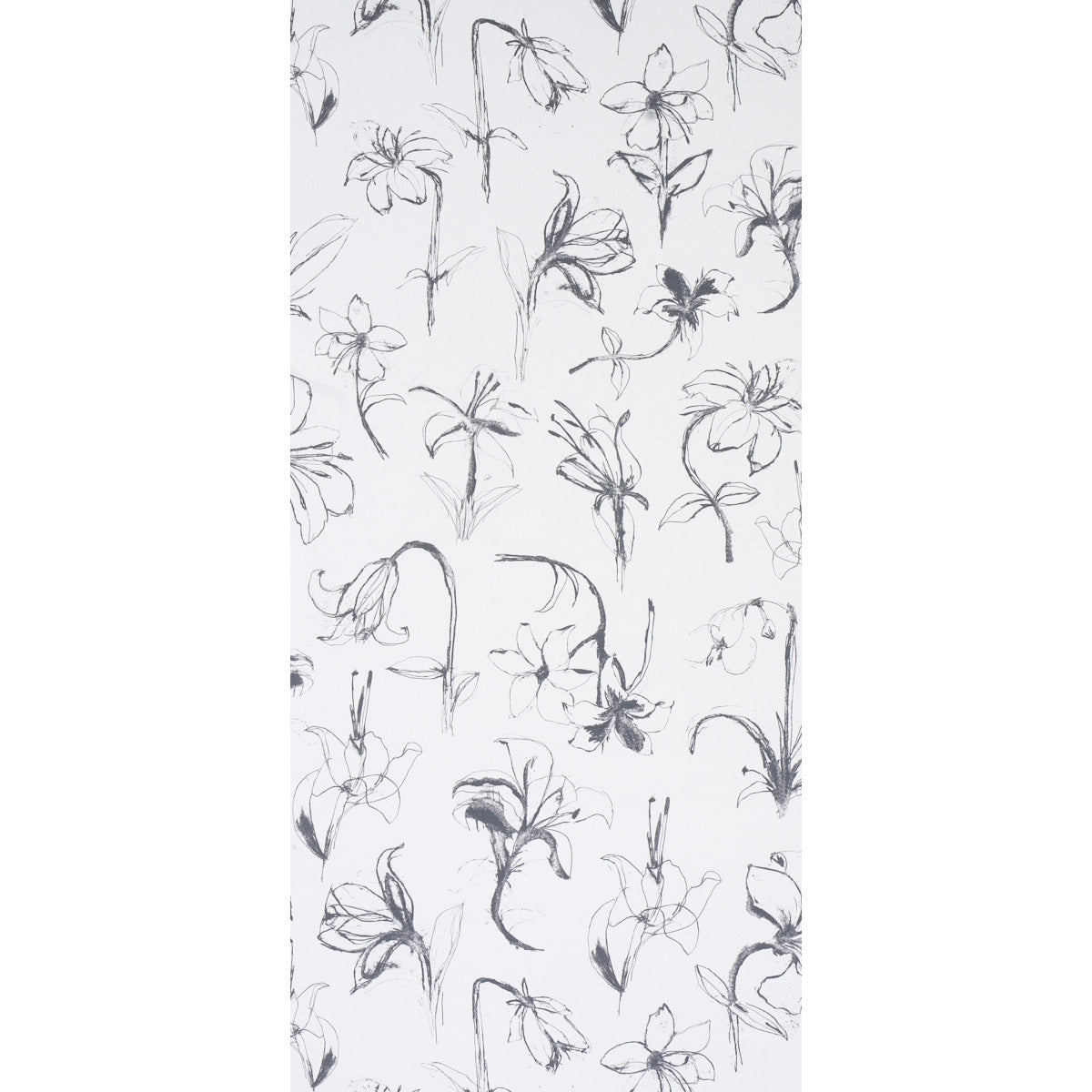 Schumacher Close Your Eyes And Remember Soft Black Wallpaper Sample 5014080