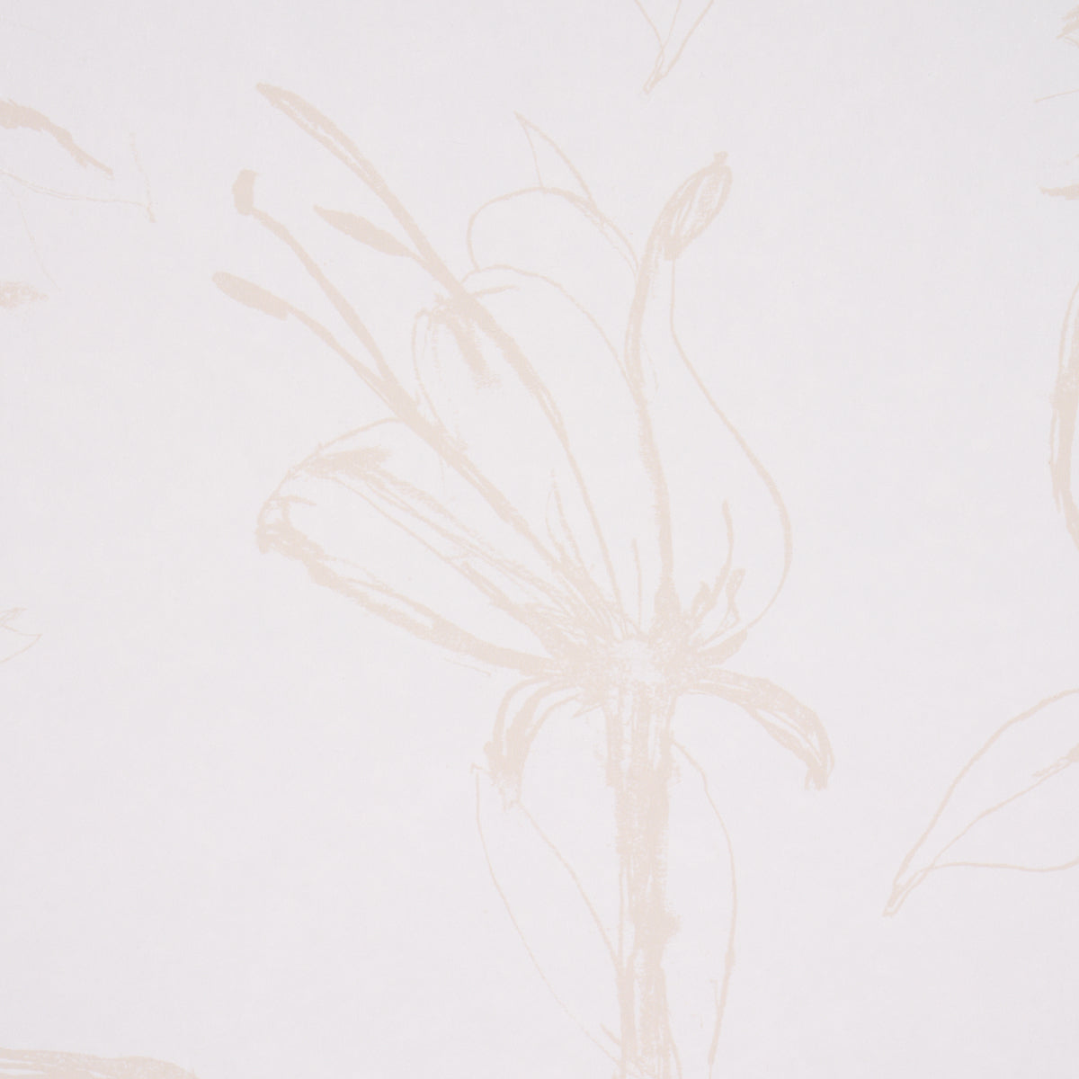 Schumacher Close Your Eyes And Remember Light Neutral Wallpaper Sample 5014081