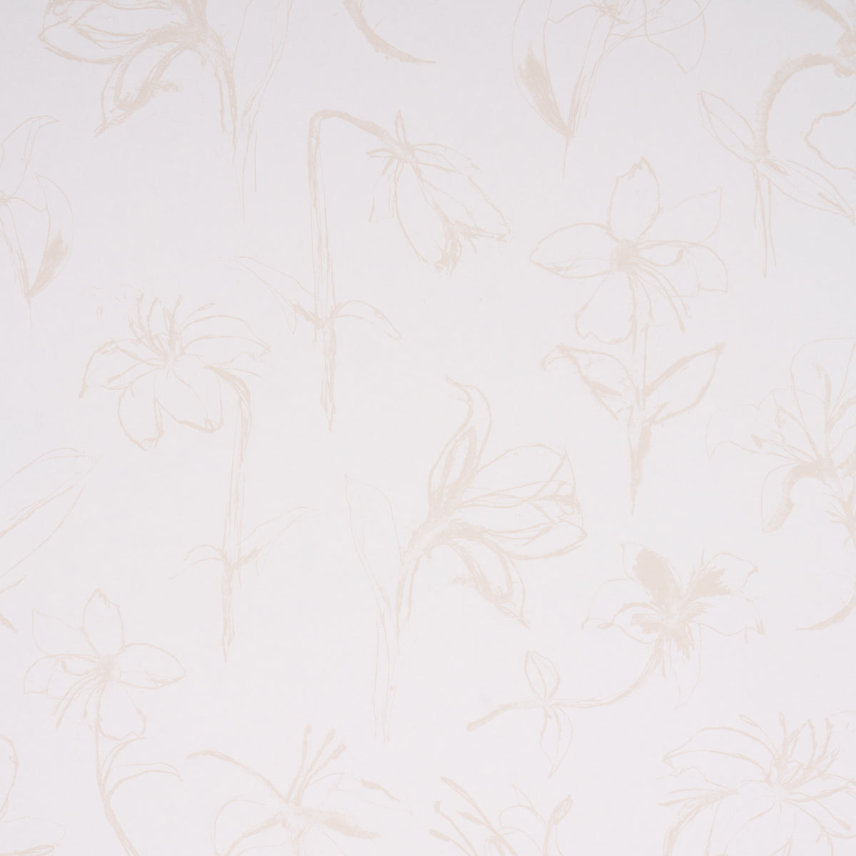 Schumacher Close Your Eyes And Remember Light Neutral Wallpaper 5014081