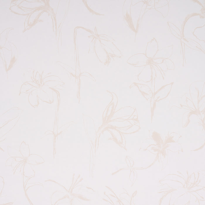 Schumacher Close Your Eyes And Remember Light Neutral Wallpaper Sample 5014081