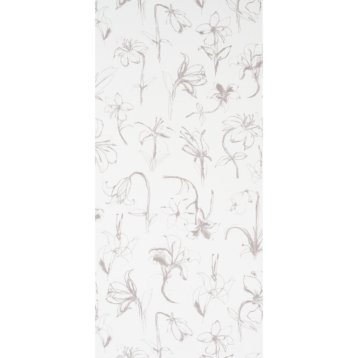 Schumacher Close Your Eyes And Remember Slate Wallpaper 5014082