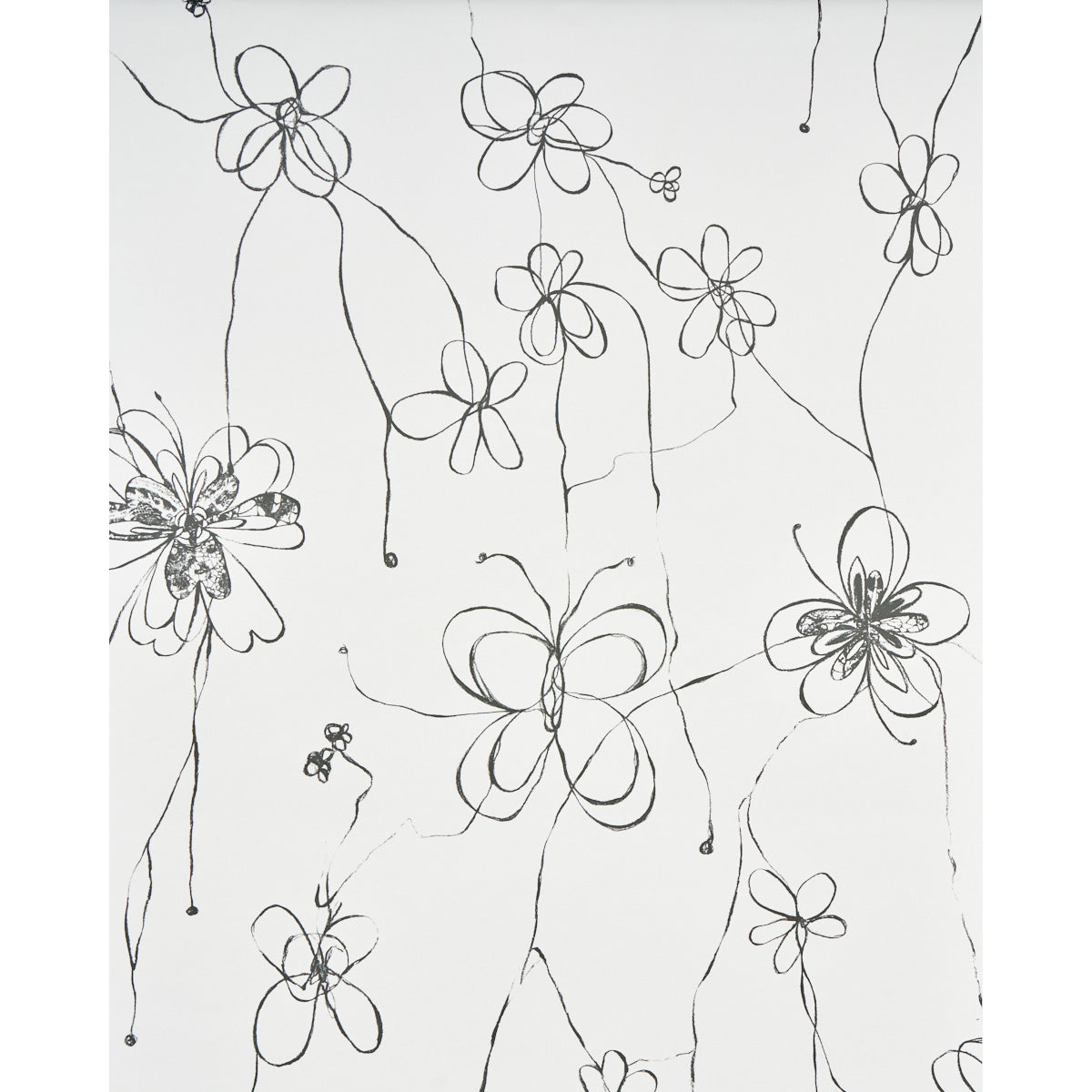 Schumacher Come Back As A Flower Soft Black Wallpaper 5014090