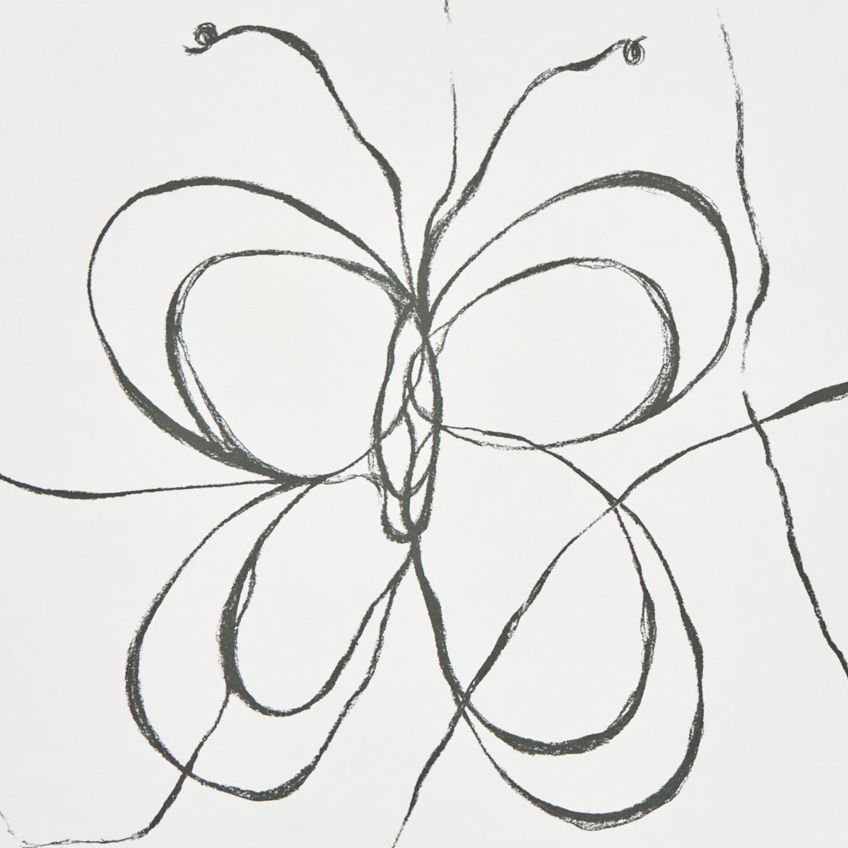 Schumacher Come Back As A Flower Soft Black Wallpaper 5014090