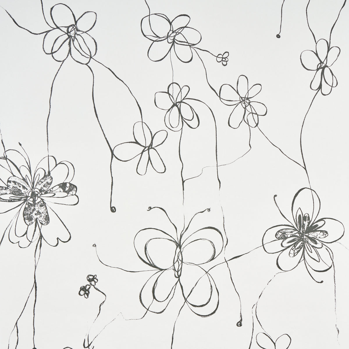 Schumacher Come Back As A Flower Soft Black Wallpaper 5014090