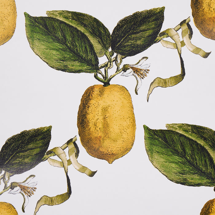 Schumacher Le Citron Ivory Wallpaper Sample 5014280