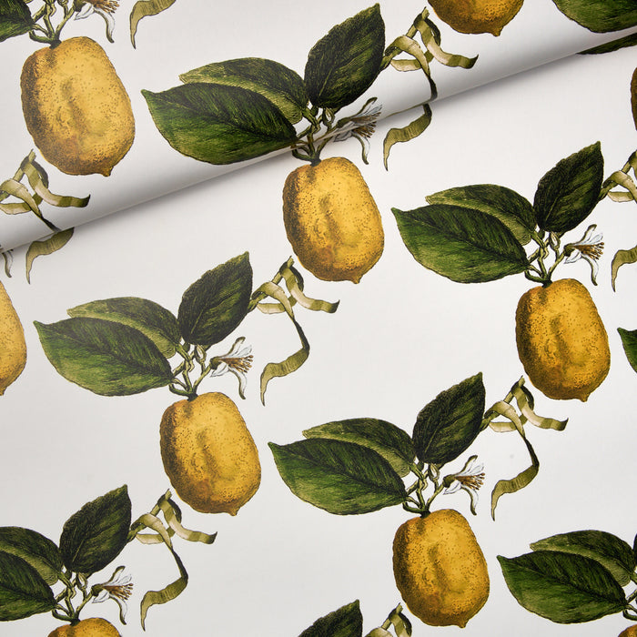 Schumacher Le Citron Ivory Wallpaper Sample 5014280