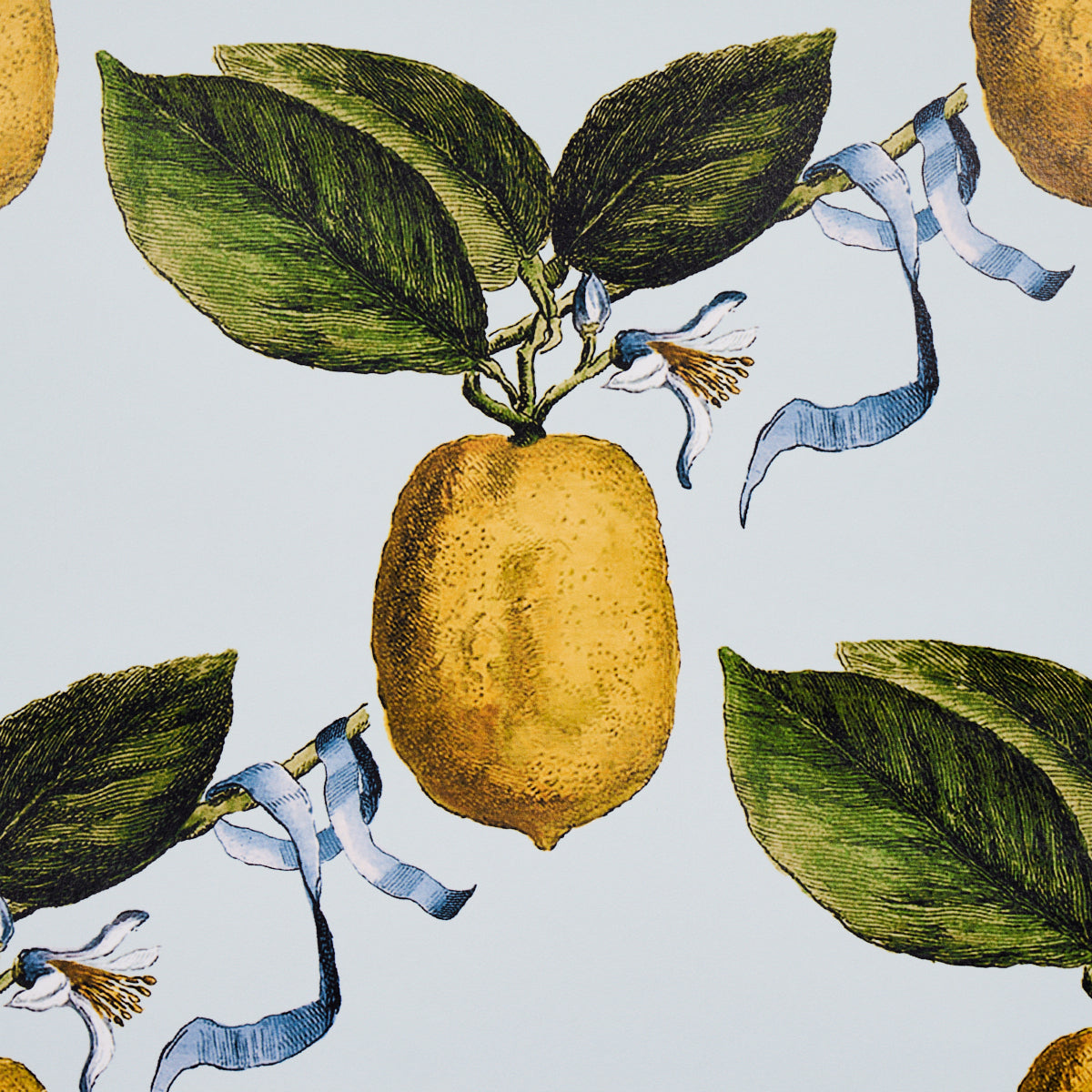 Schumacher Le Citron Sky Wallpaper Sample 5014281