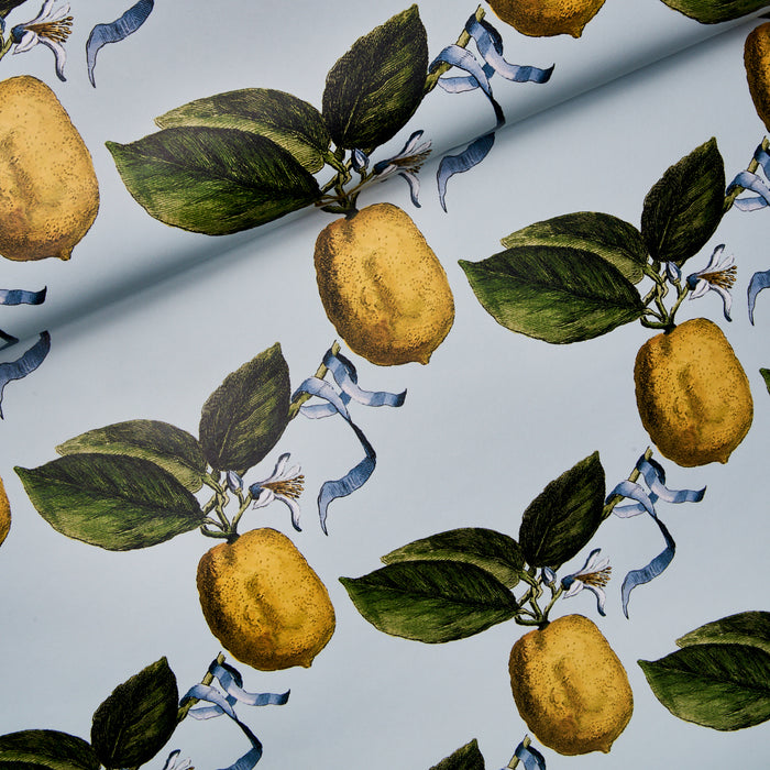 Schumacher Le Citron Sky Wallpaper Sample 5014281