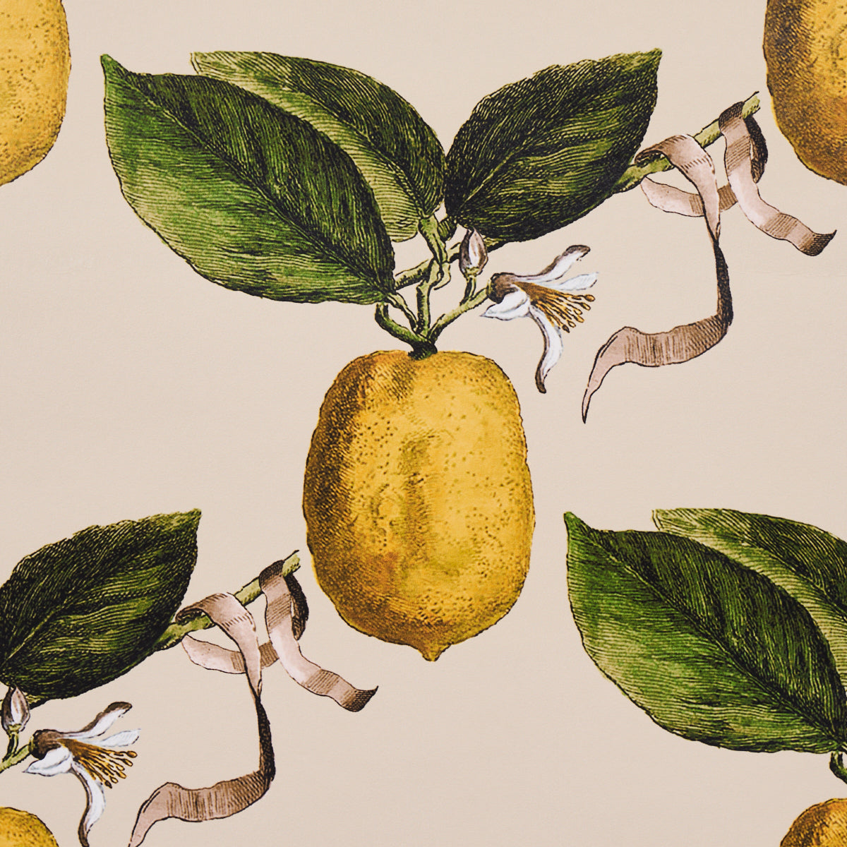 Schumacher Le Citron Natural Wallpaper Sample 5014282