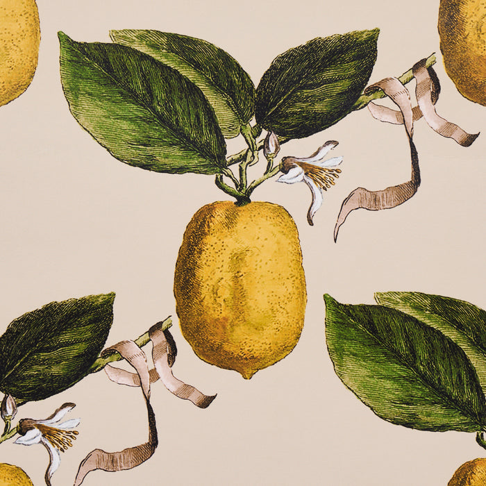 Schumacher Le Citron Natural Wallpaper Sample 5014282