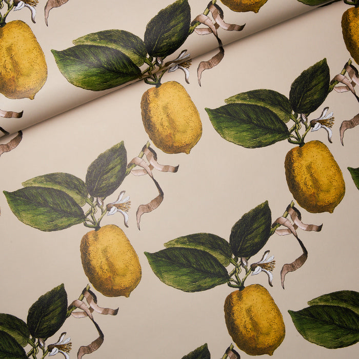 Schumacher Le Citron Natural Wallpaper Sample 5014282