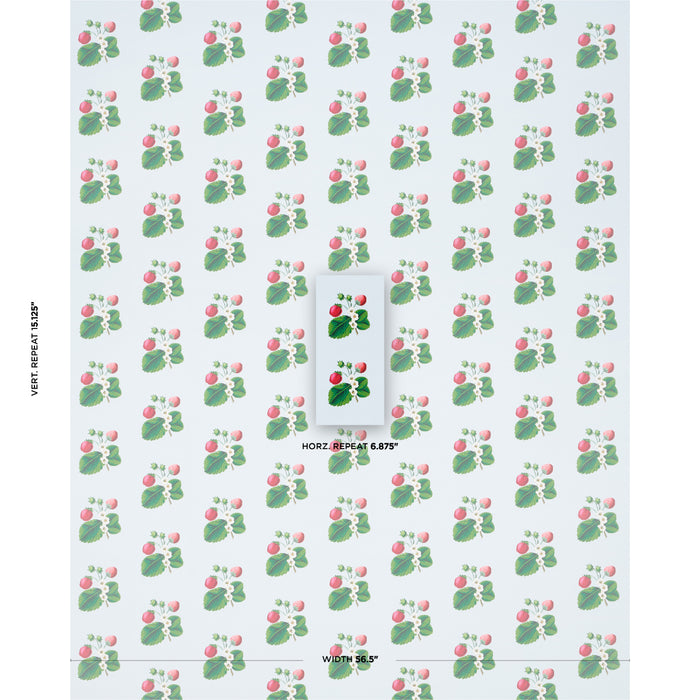 Schumacher Strawberry Hill Blue Wallpaper Sample 5014321