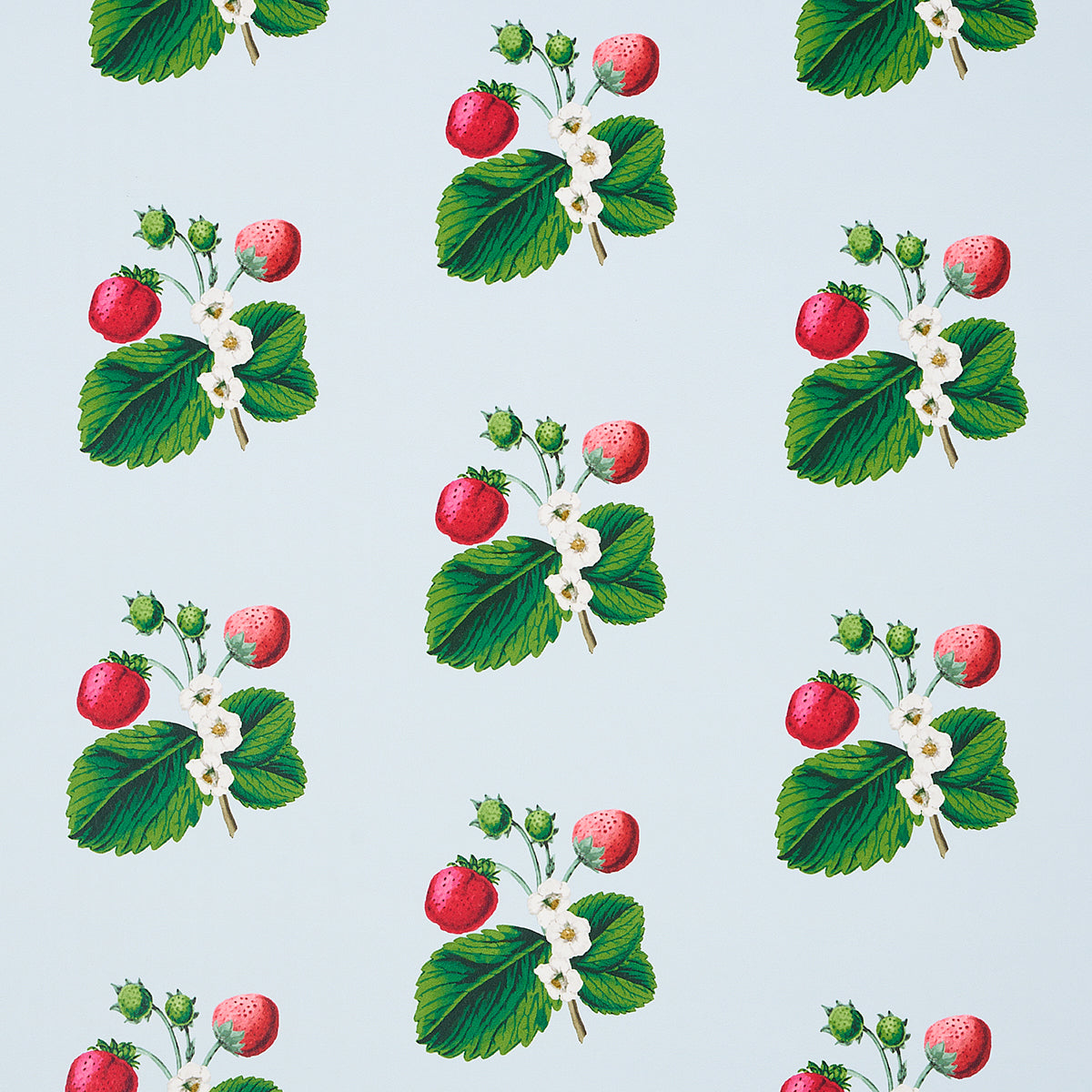 Schumacher Strawberry Hill Blue Wallpaper Sample 5014321