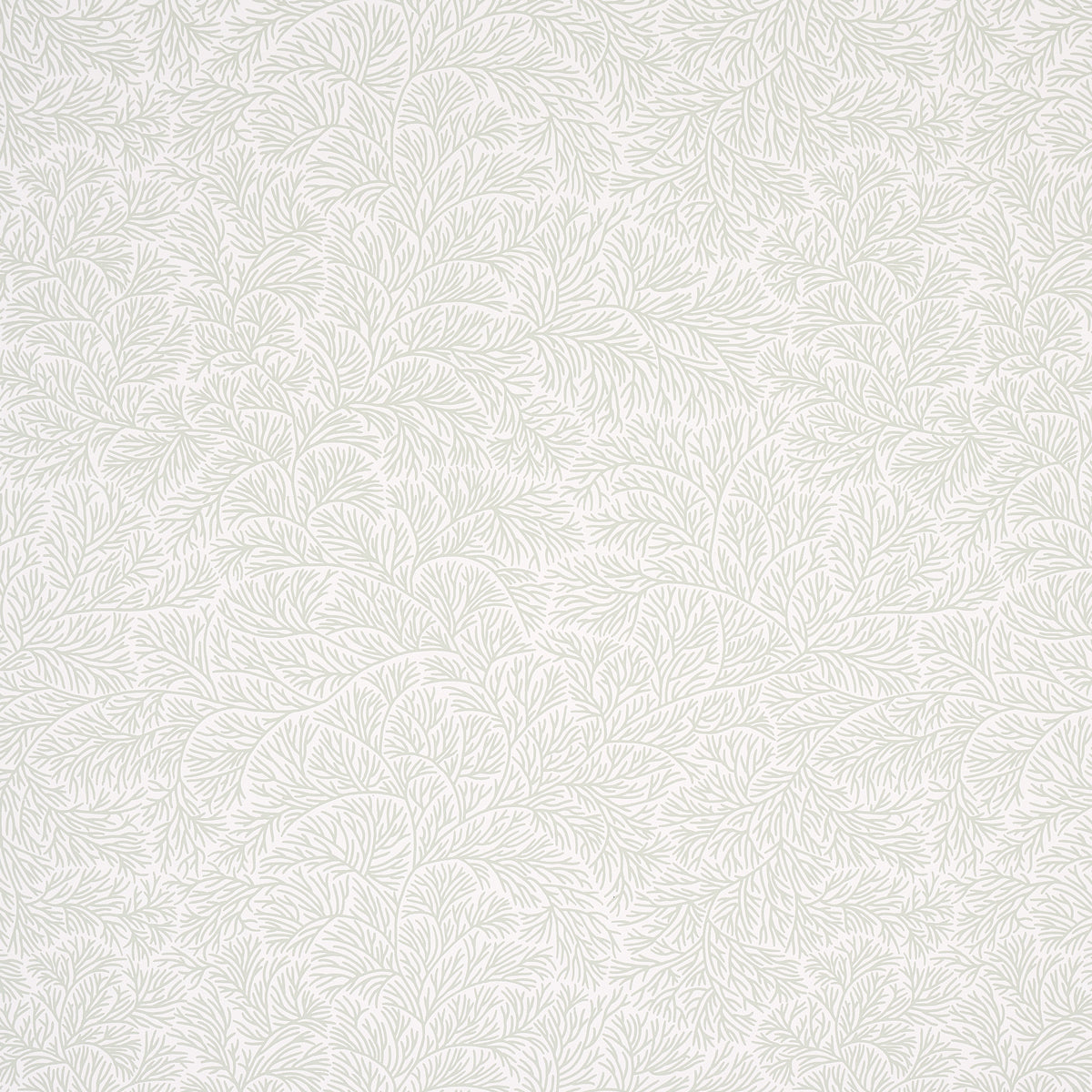 Schumacher Bougainvillea Leaf Green Wallpaper 5014331