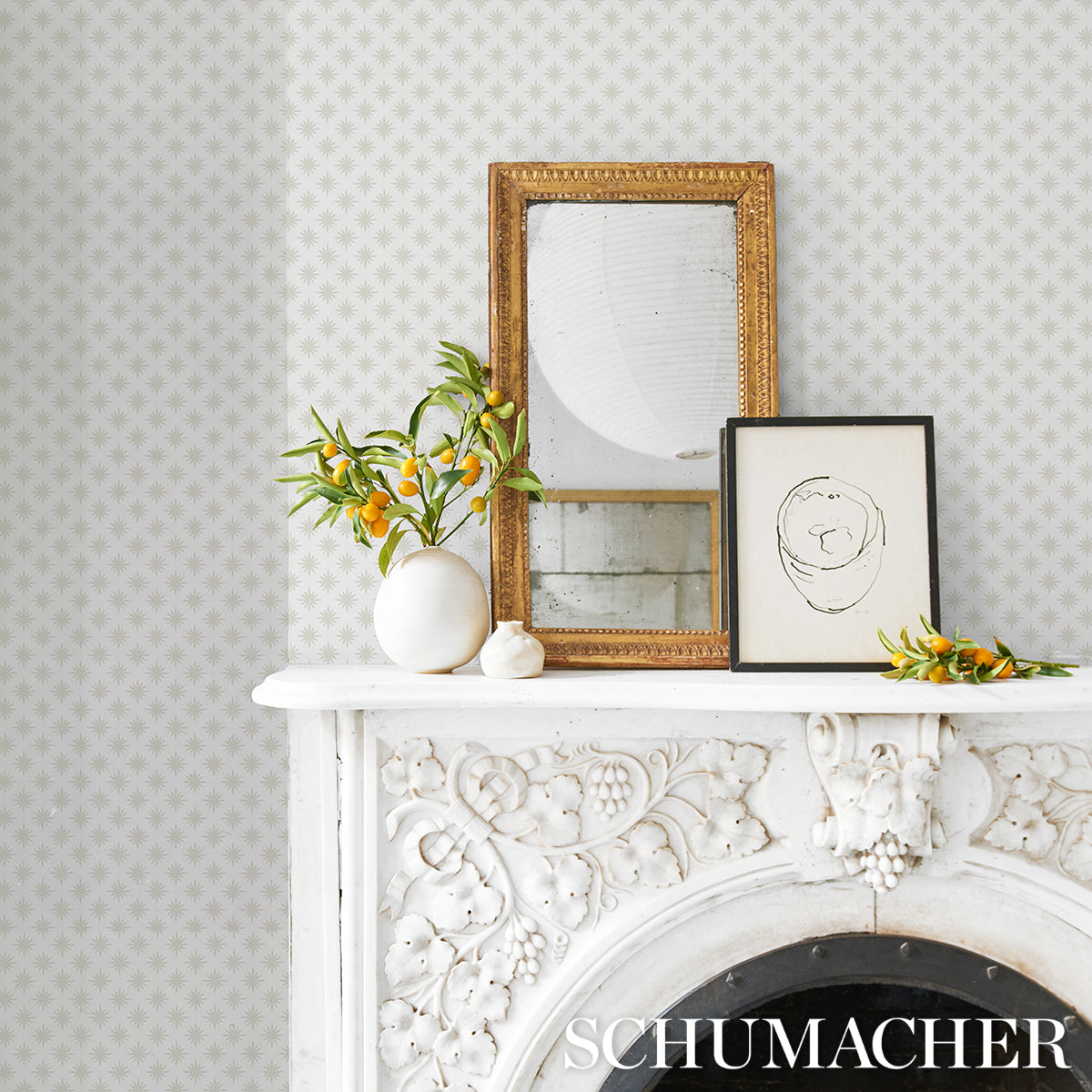Schumacher Star Anise Mink Wallpaper Sample 5014940