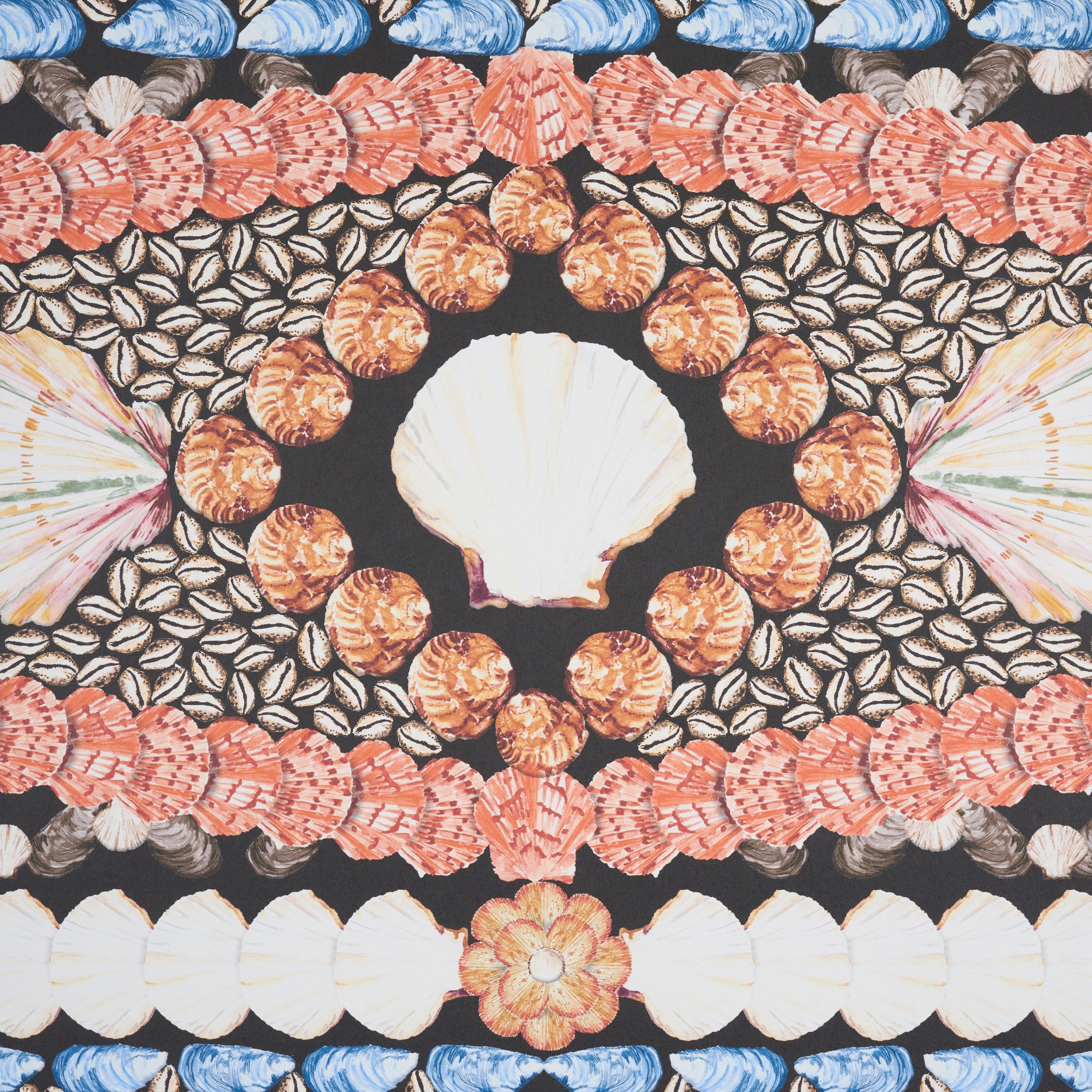 Shell Grotto Panel Schumacher Shell Grotto Panel B Onyx Multi 5015162 Sample | 40% Off ...