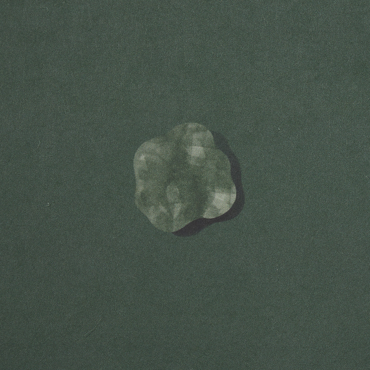 Schumacher Heavenly Bodies Deep Green Wallpaper Sample 5015272