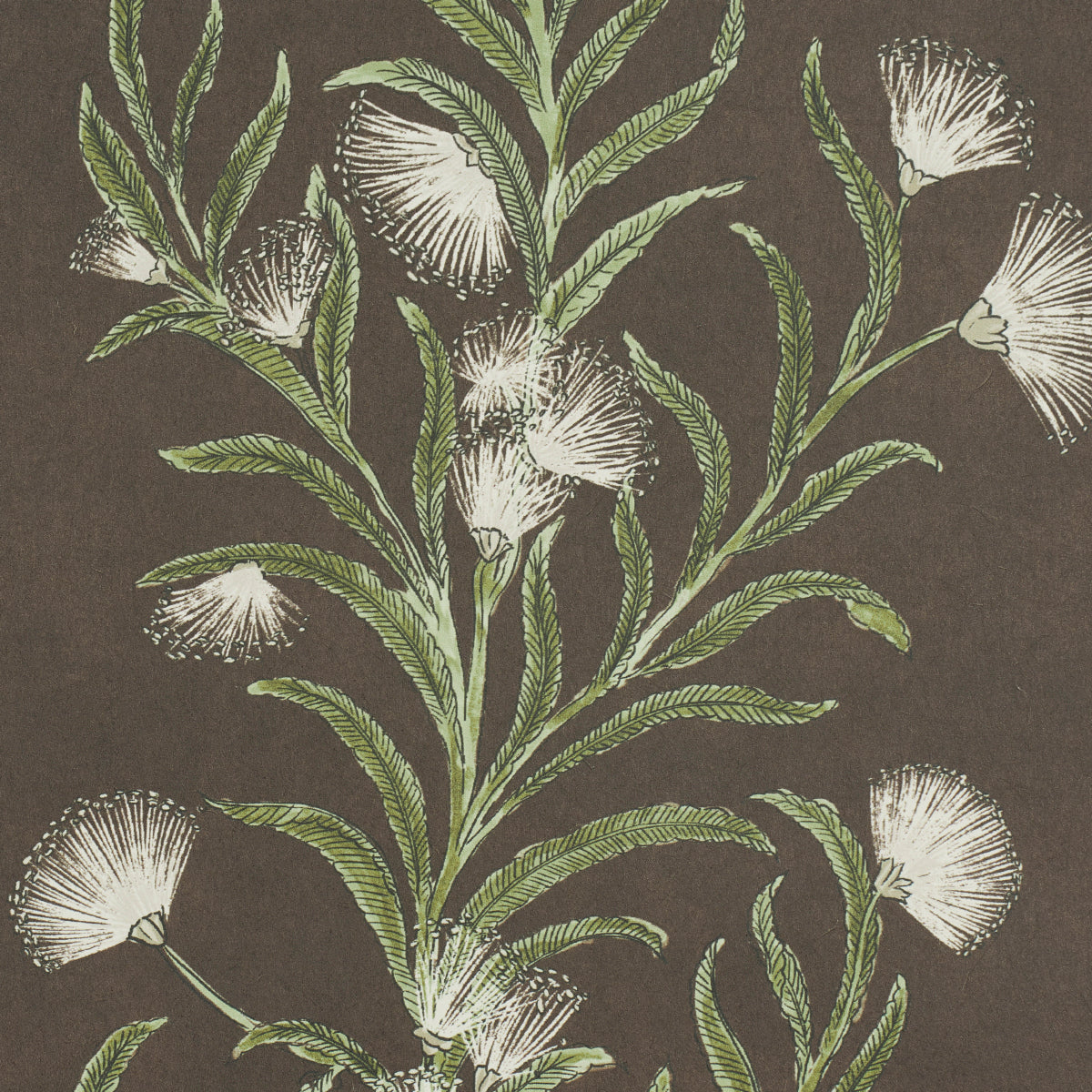 Schumacher Tasmanian Mimosa Brown &Green Wallpaper 5015361