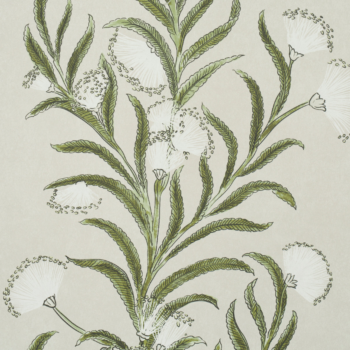 Schumacher Tasmanian Mimosa Ivory & Green Wallpaper Sample 5015362